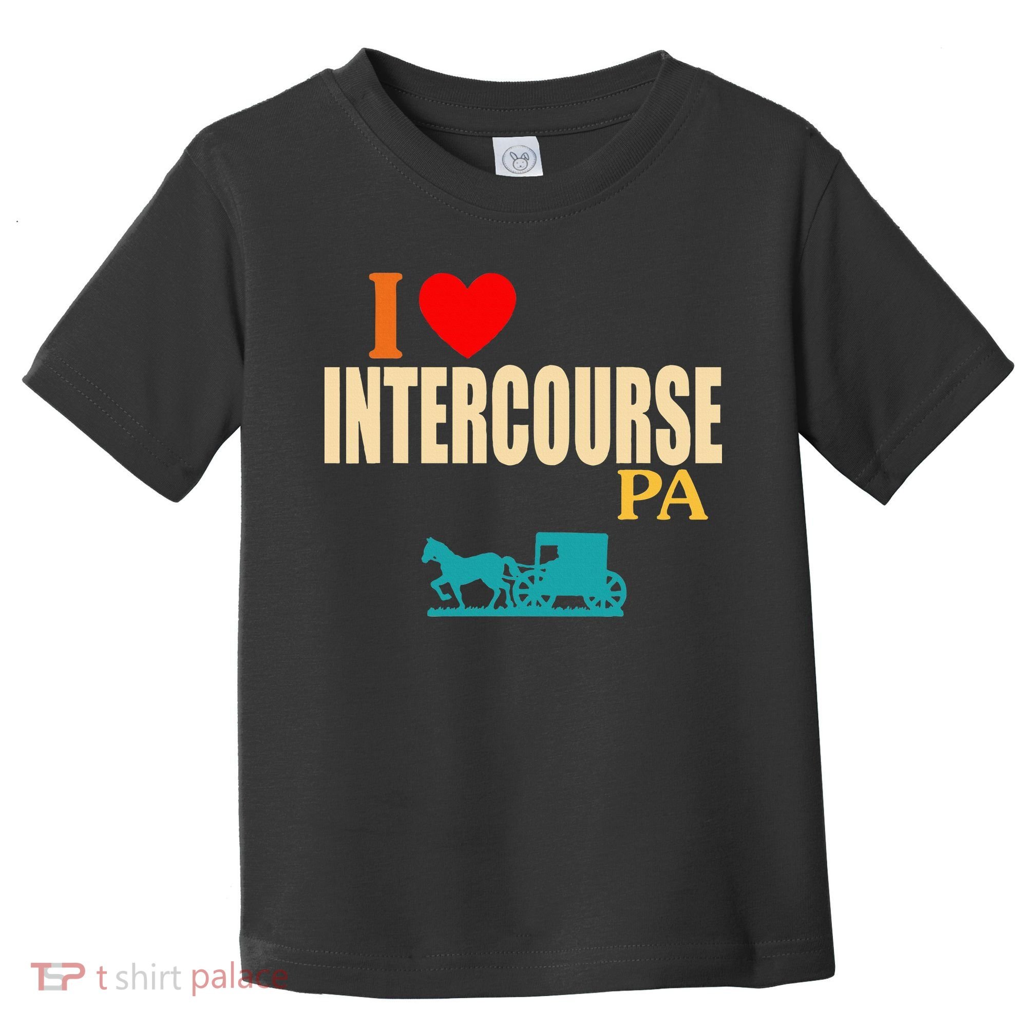 Funny I Love Intercourse Pa Apparel Toddler T-Shirt
