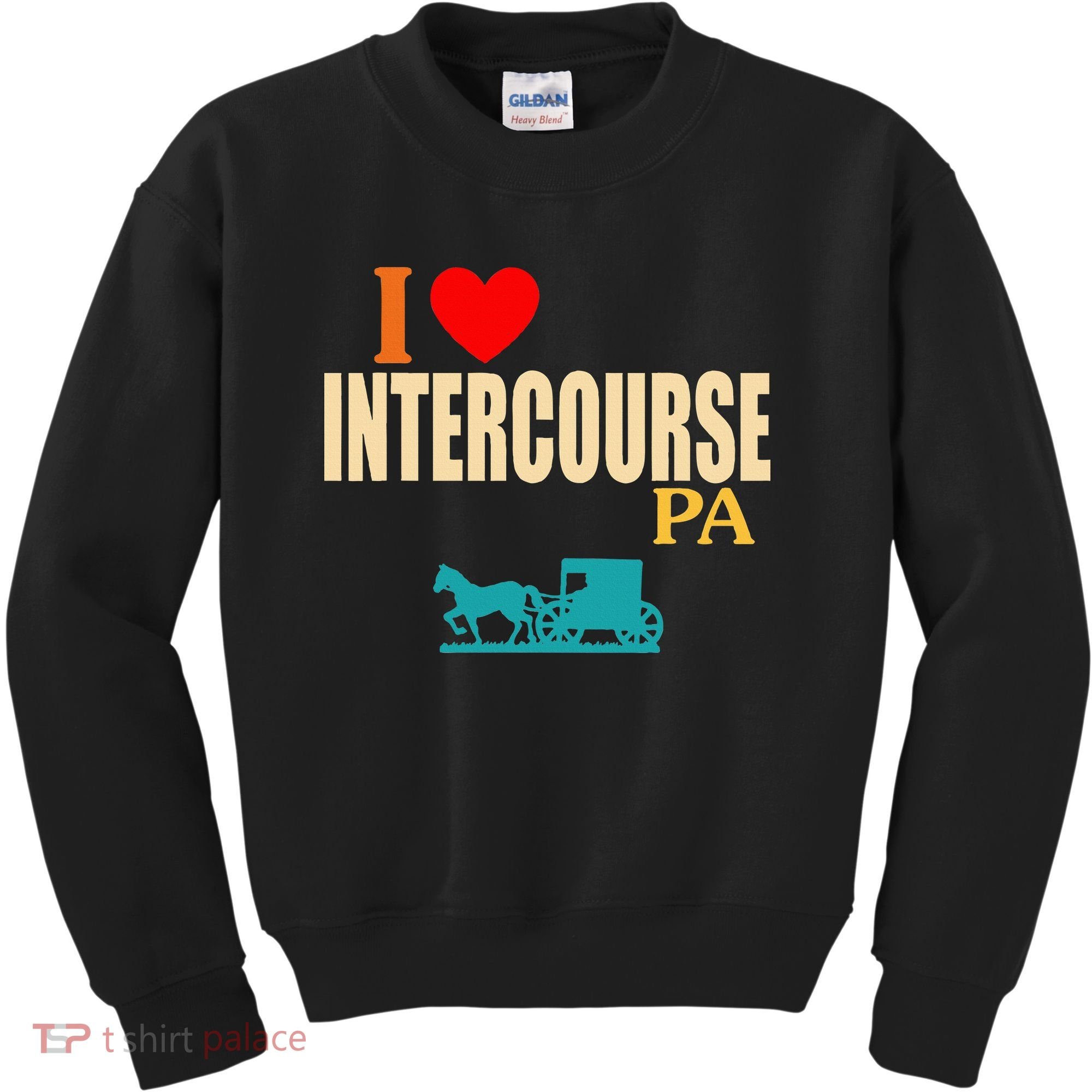 Funny I Love Intercourse Pa Apparel Kids Sweatshirt