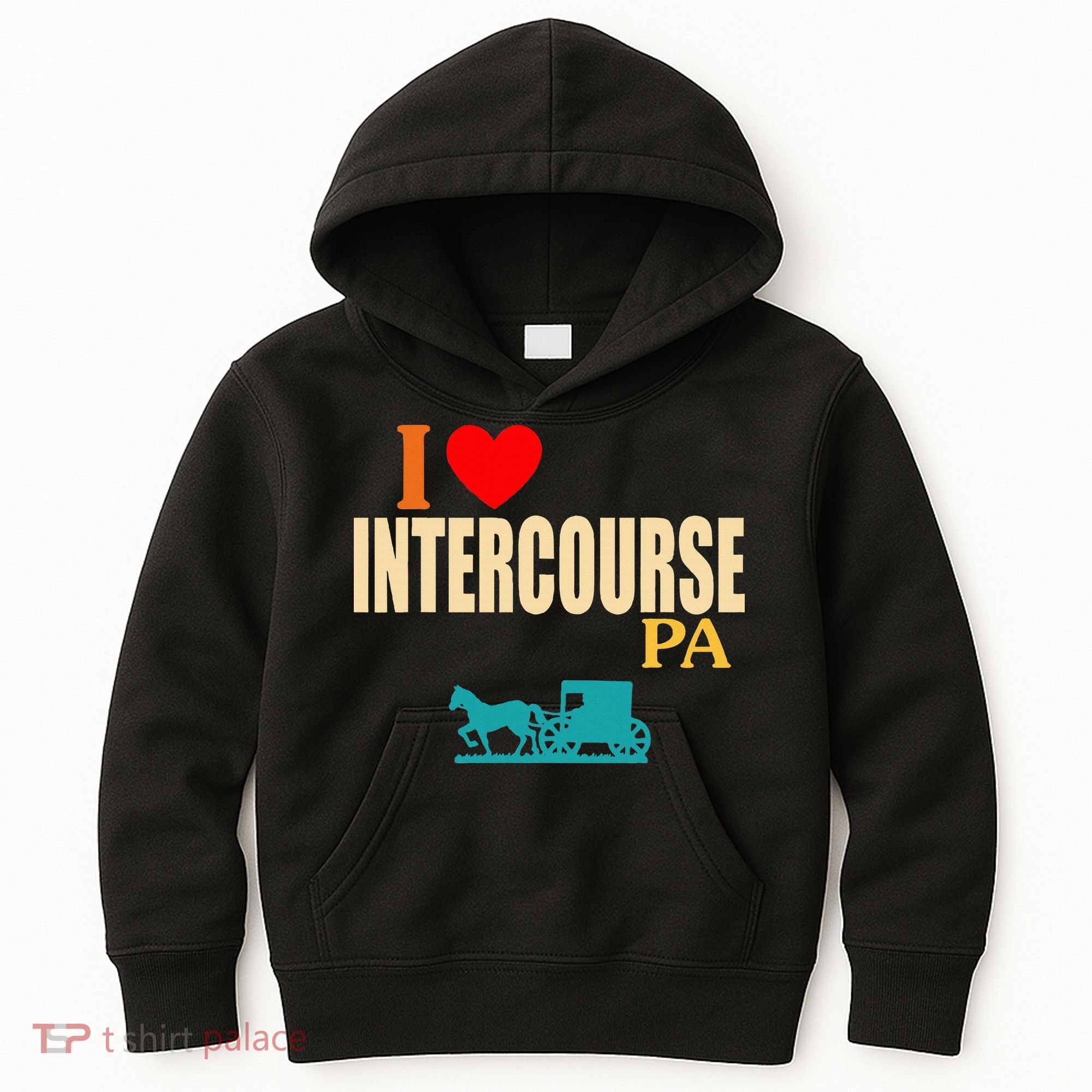 Funny I Love Intercourse Pa Apparel Kids Hoodie