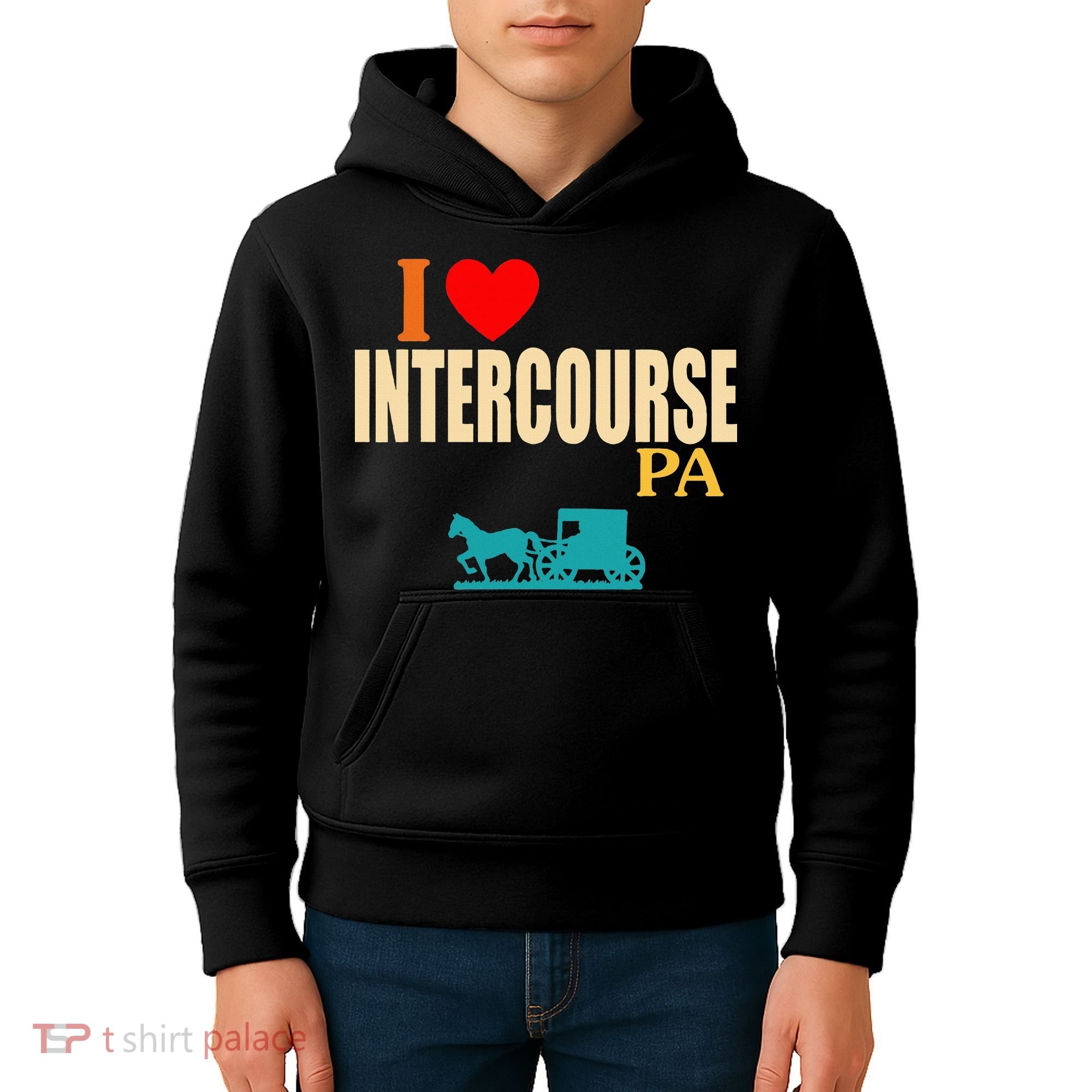 Funny I Love Intercourse Pa Apparel Kids Hoodie