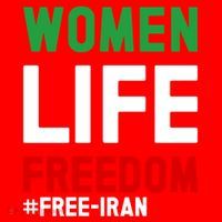 Free Iran Life Freedom Stand With Persian Funny Gift Santa Hat thumb 1