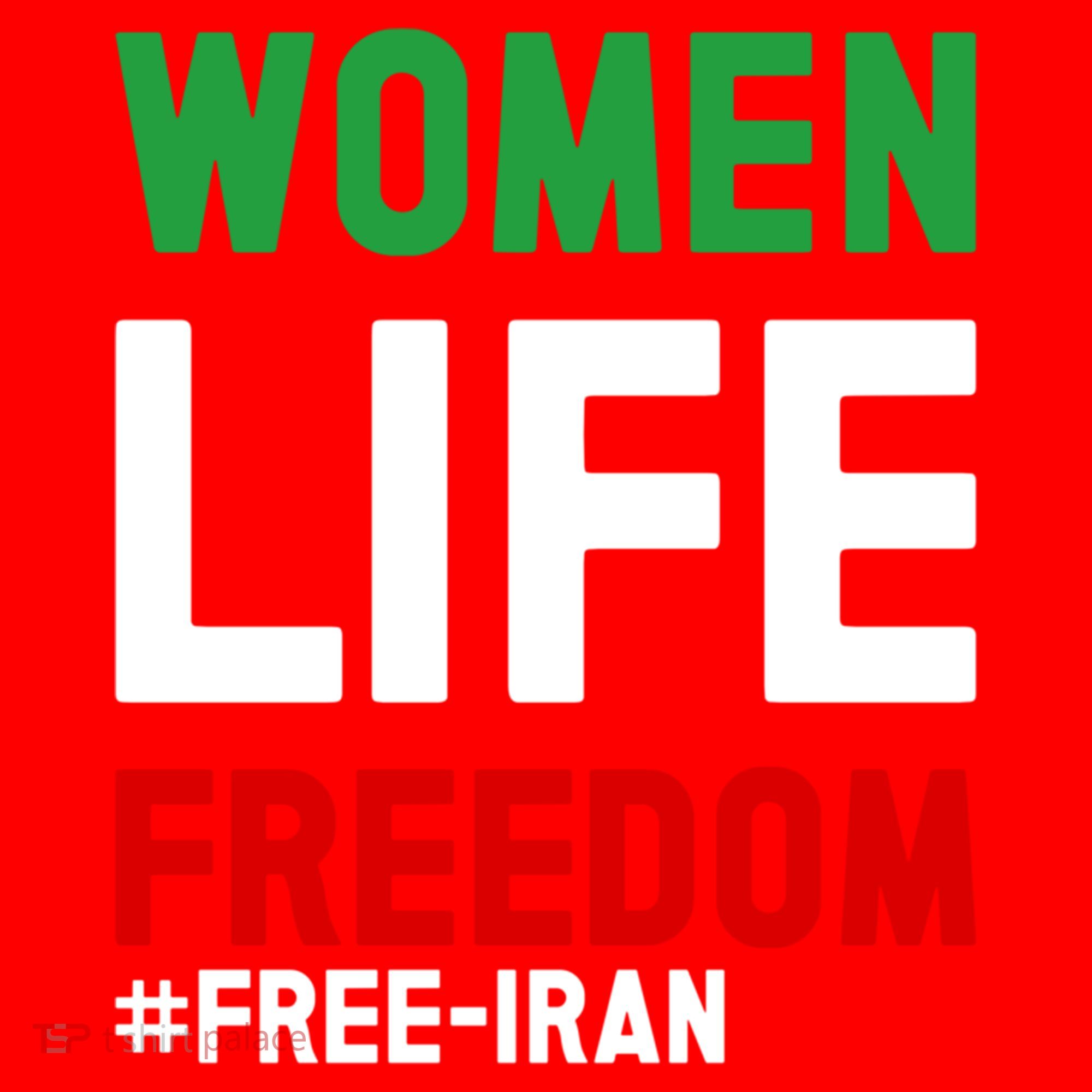 Free Iran Life Freedom Stand With Persian Funny Gift Santa Hat