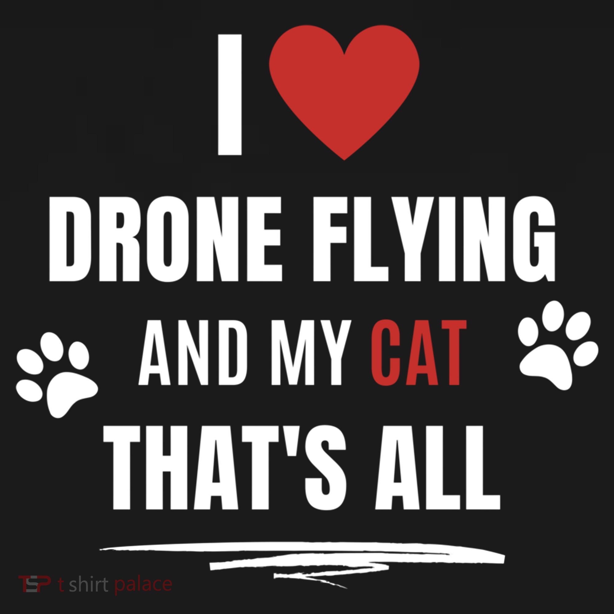 Funny I Love Drone Flying And My Cat Cats Lover Quadcopter Gift Ornament