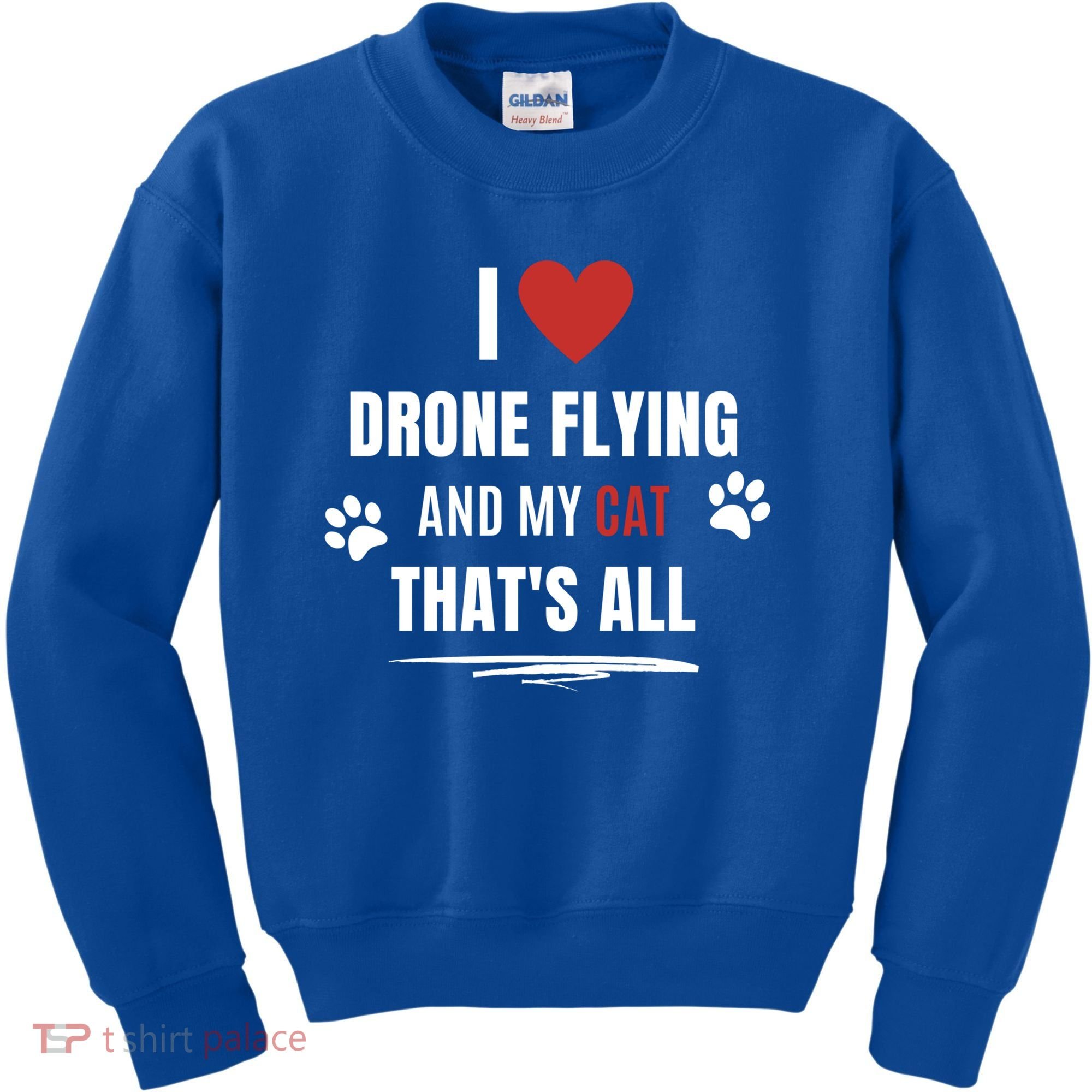 Funny I Love Drone Flying And My Cat Cats Lover Quadcopter Gift Kids Sweatshirt