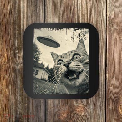 Funny Invasion Meme Vintage Alien Cat Ufo Selfie Coaster