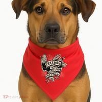 Freedom Is Not Free Eagle USA-Made Doggie Bandana thumb 1