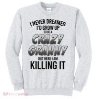 Funny I Never Dreamed I'd Grow Up To Be A Crazy Granny Sweatshirt thumb 0