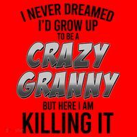Funny I Never Dreamed I'd Grow Up To Be A Crazy Granny Santa Hat thumb 1