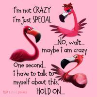 Flamingo IM Not Crazy IM Just Special Funny MotherS Day Coaster thumb 2