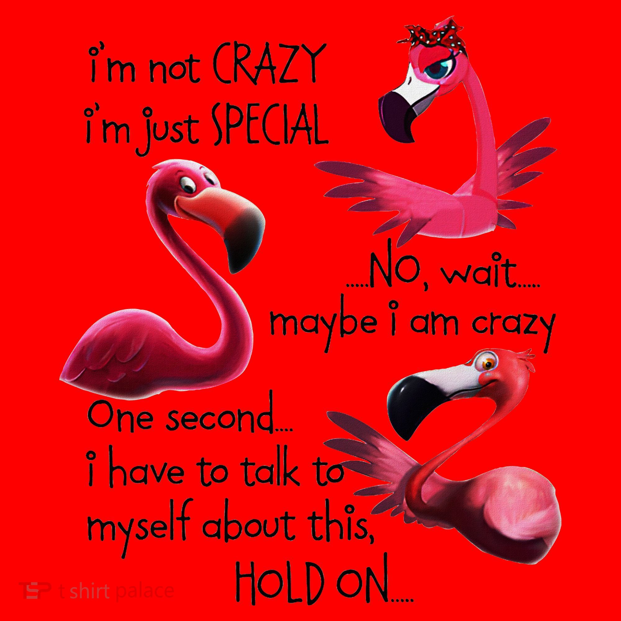 Flamingo IM Not Crazy IM Just Special Funny MotherS Day Santa Hat