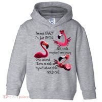 Flamingo IM Not Crazy IM Just Special Funny MotherS Day Toddler Hoodie thumb 0
