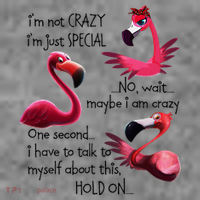 Flamingo IM Not Crazy IM Just Special Funny MotherS Day Toddler Hoodie thumb 2