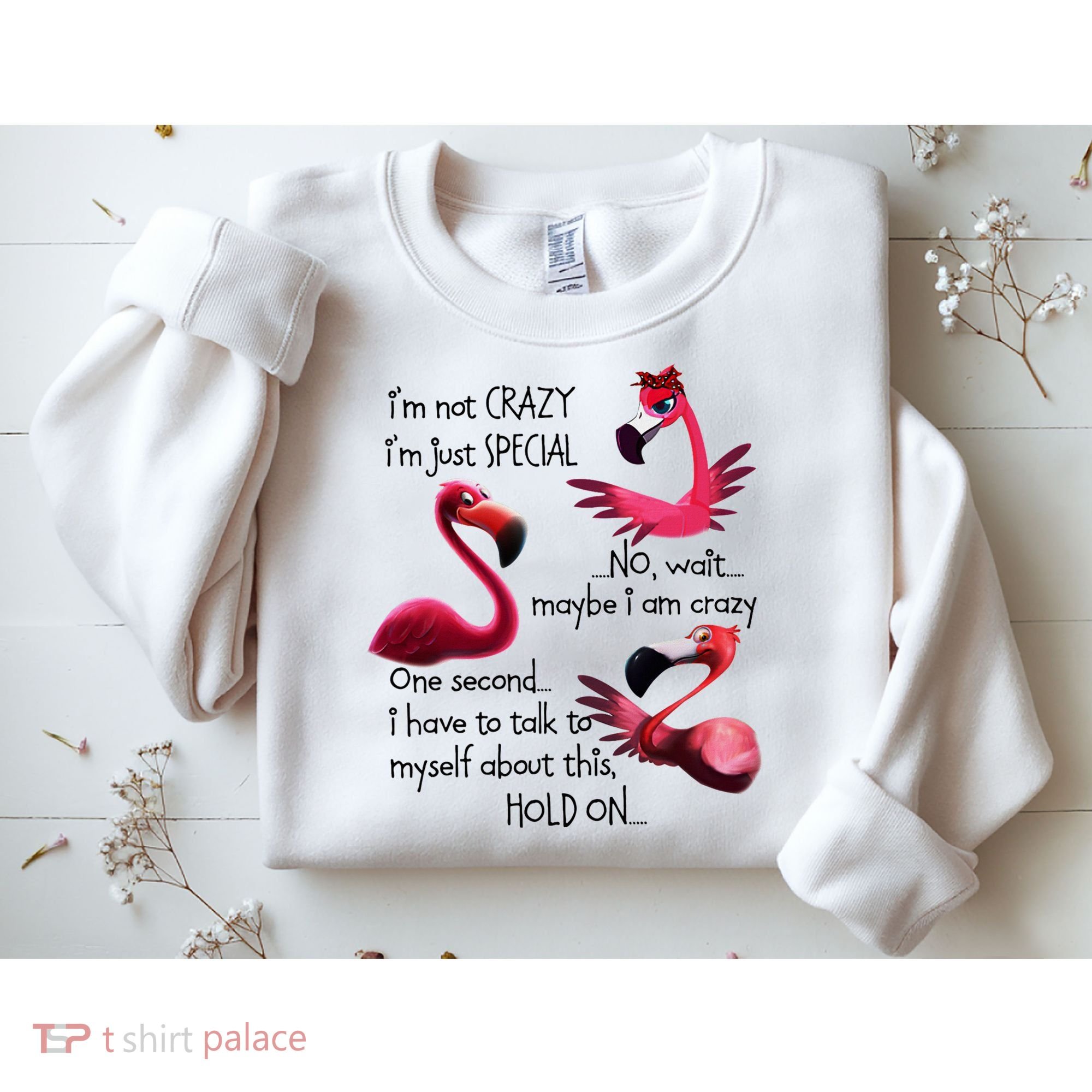 Flamingo IM Not Crazy IM Just Special Funny MotherS Day Sweatshirt