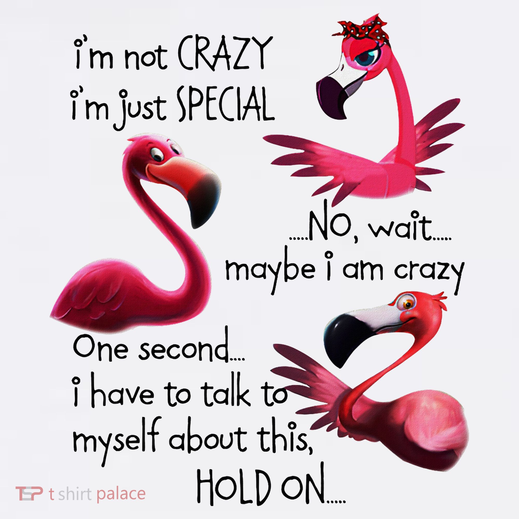 Flamingo IM Not Crazy IM Just Special Funny MotherS Day Mousepad