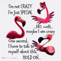 Flamingo IM Not Crazy IM Just Special Funny MotherS Day Kids Sweatshirt thumb 2