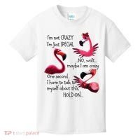 Flamingo IM Not Crazy IM Just Special Funny MotherS Day Kids T-Shirt thumb 0