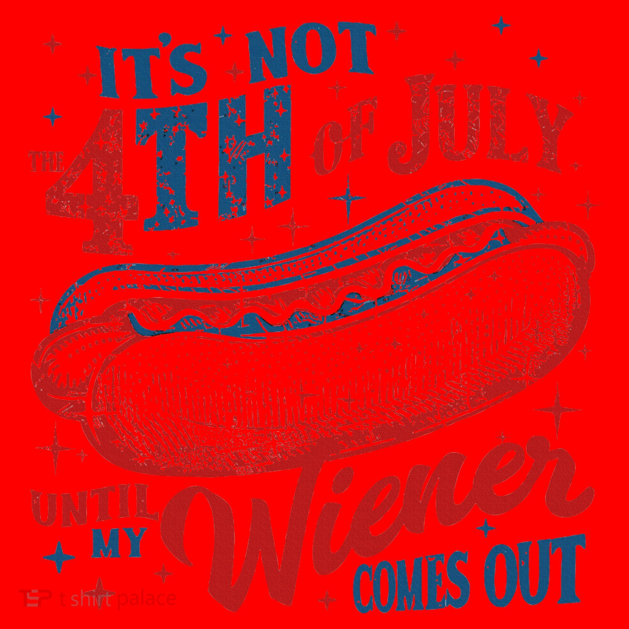 Funny ItS Not 4th Of July Until My Wiener Comes Out Santa Hat