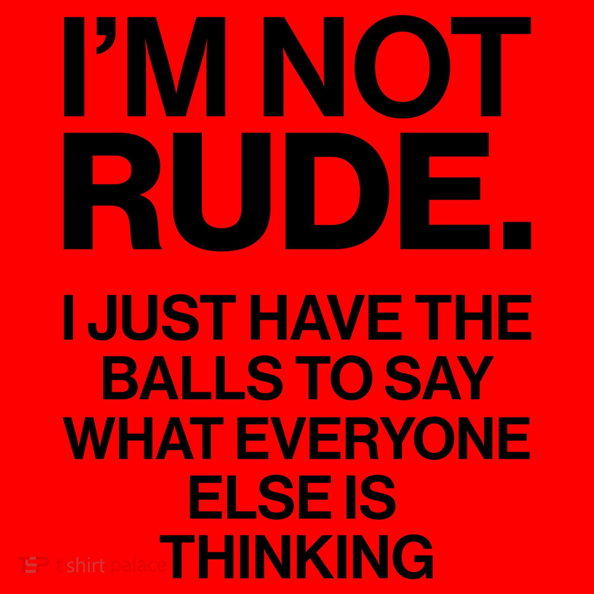 Funny Im Not Rude Santa Hat