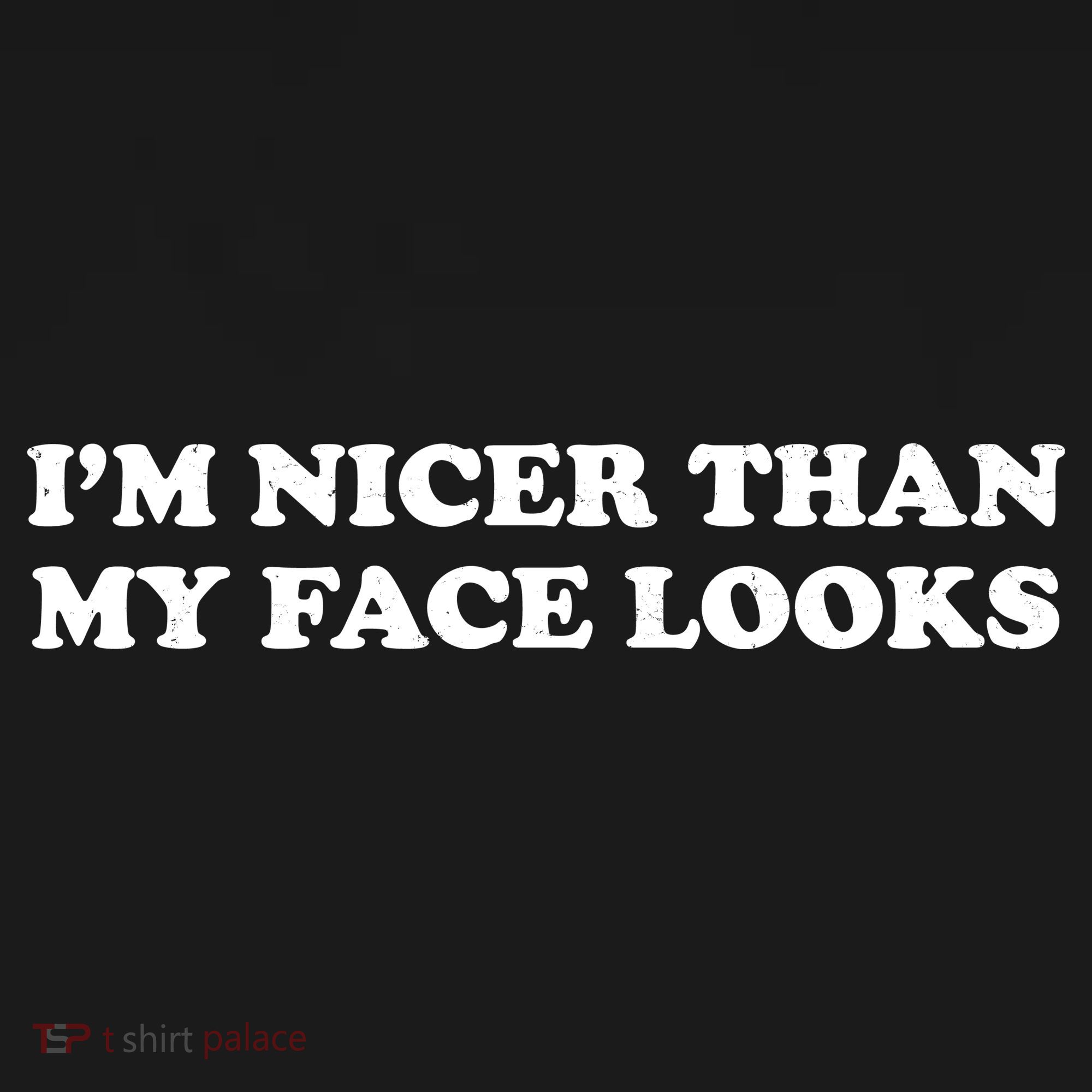 Funny Im Nicer Than My Face Looks Ornament