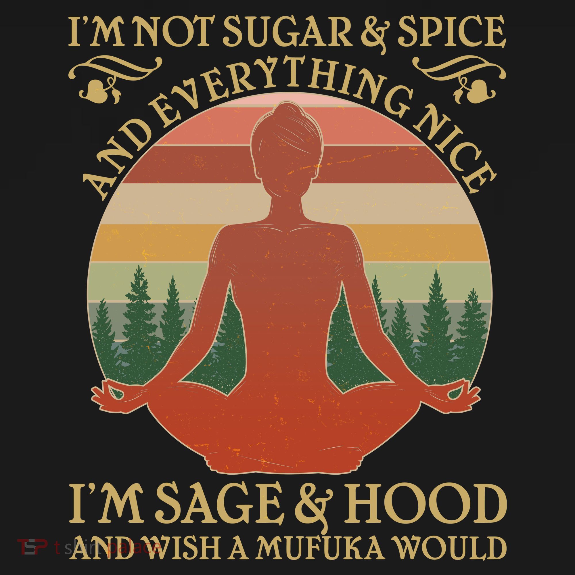 Funny I'm Not Sugar And Spice I'm Sage And Hood T-Shirt