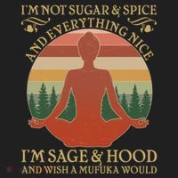 Funny I'm Not Sugar And Spice I'm Sage And Hood Beanie thumb 2