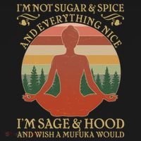 Funny I'm Not Sugar And Spice I'm Sage And Hood Polo thumb 3