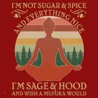 Funny I'm Not Sugar And Spice I'm Sage And Hood Long Sleeve Shirt thumb 2