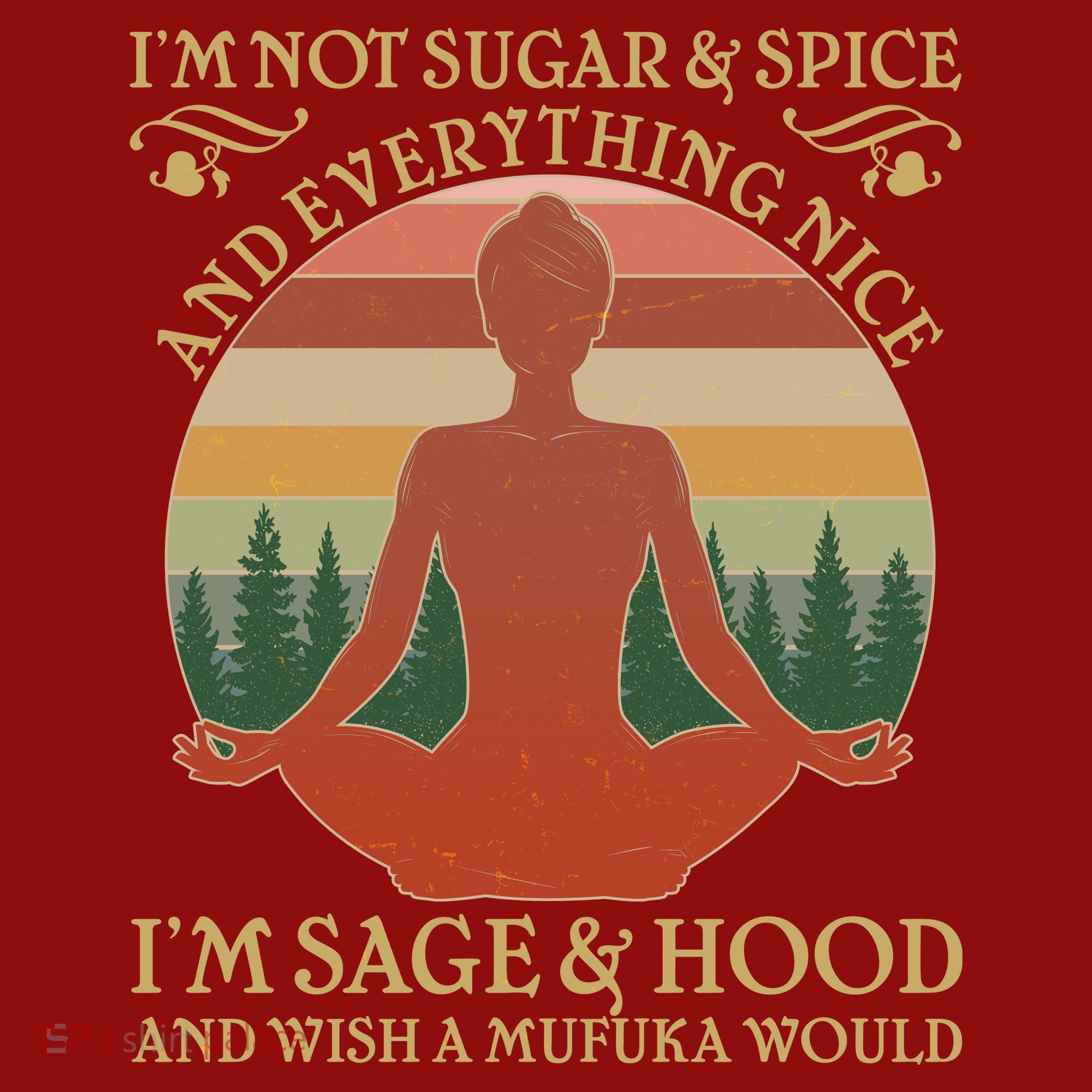 Funny I'm Not Sugar And Spice I'm Sage And Hood Long Sleeve Shirt