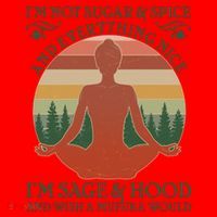 Funny I'm Not Sugar And Spice I'm Sage And Hood Santa Hat thumb 1