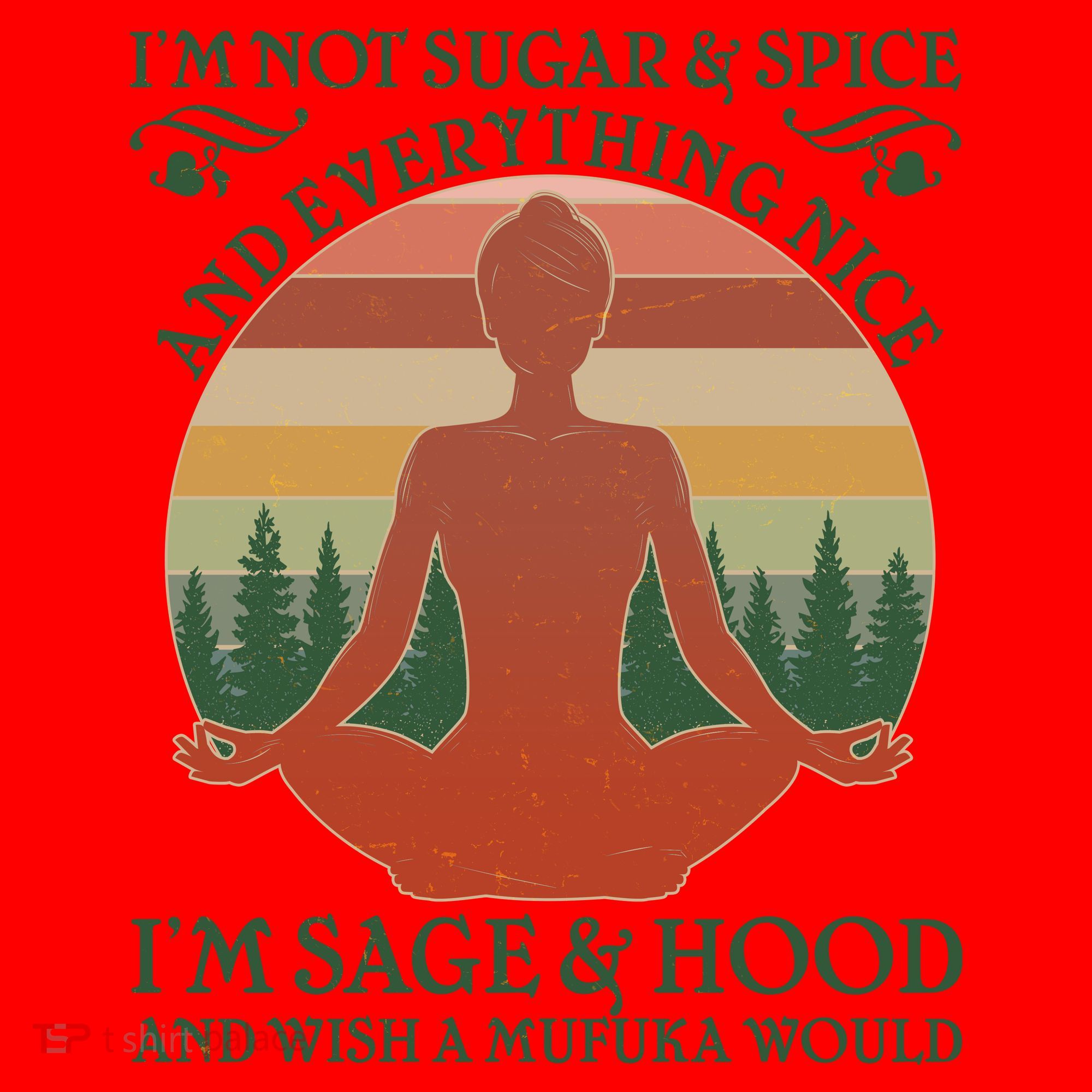 Funny I'm Not Sugar And Spice I'm Sage And Hood Santa Hat