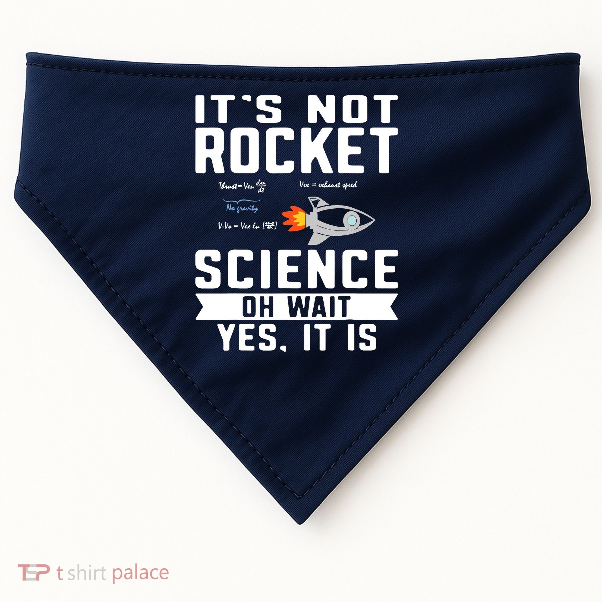 Funny Its Not Rocket Science Aerospace Engineer Equation USA-Made Doggie Bandana
