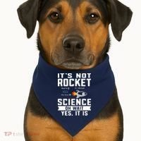 Funny Its Not Rocket Science Aerospace Engineer Equation USA-Made Doggie Bandana thumb 1