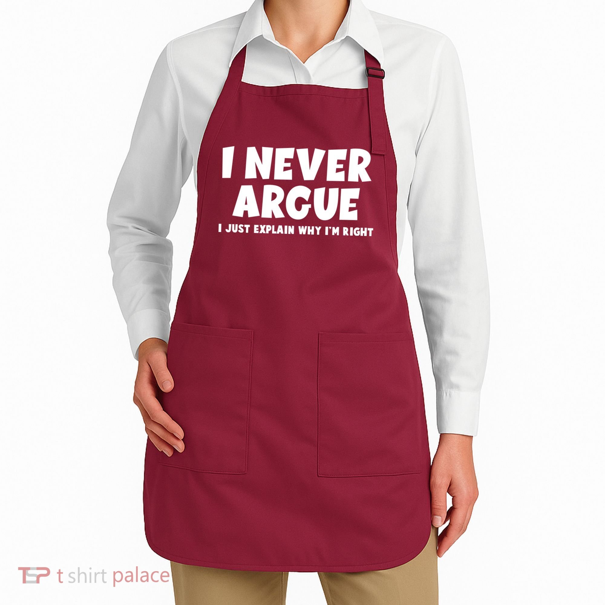 Funny I Never Argue I Just Explain Why Im Right Apron