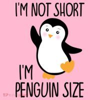 Funny IM Not Short IM Penguin Size Cute Penguin Gift Coaster thumb 2