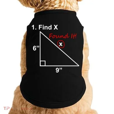 Find X Found It Funny Math School Doggie Tank