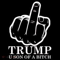 Finger Trump U Son of a B Toddler Hoodie thumb 2