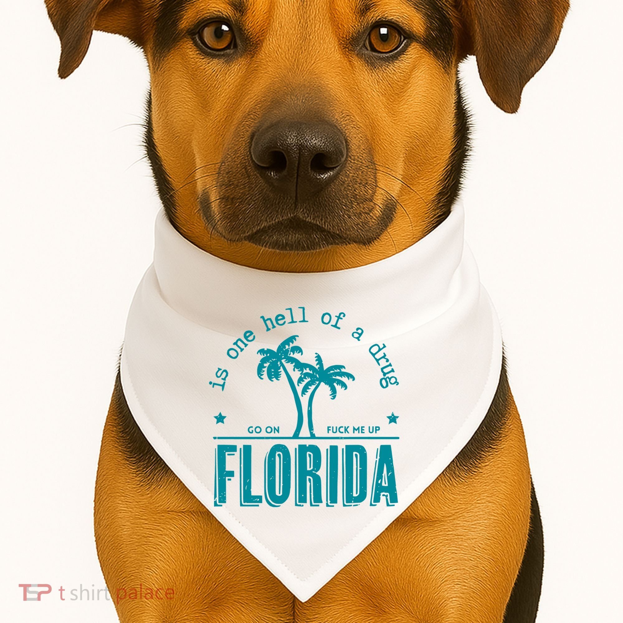 Florida Is One Hell Of A Drug Taylor Lyrics Ttpd USA-Made Doggie Bandana