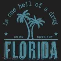 Florida Is One Hell Of A Drug Women's Sweatshirt thumb 2