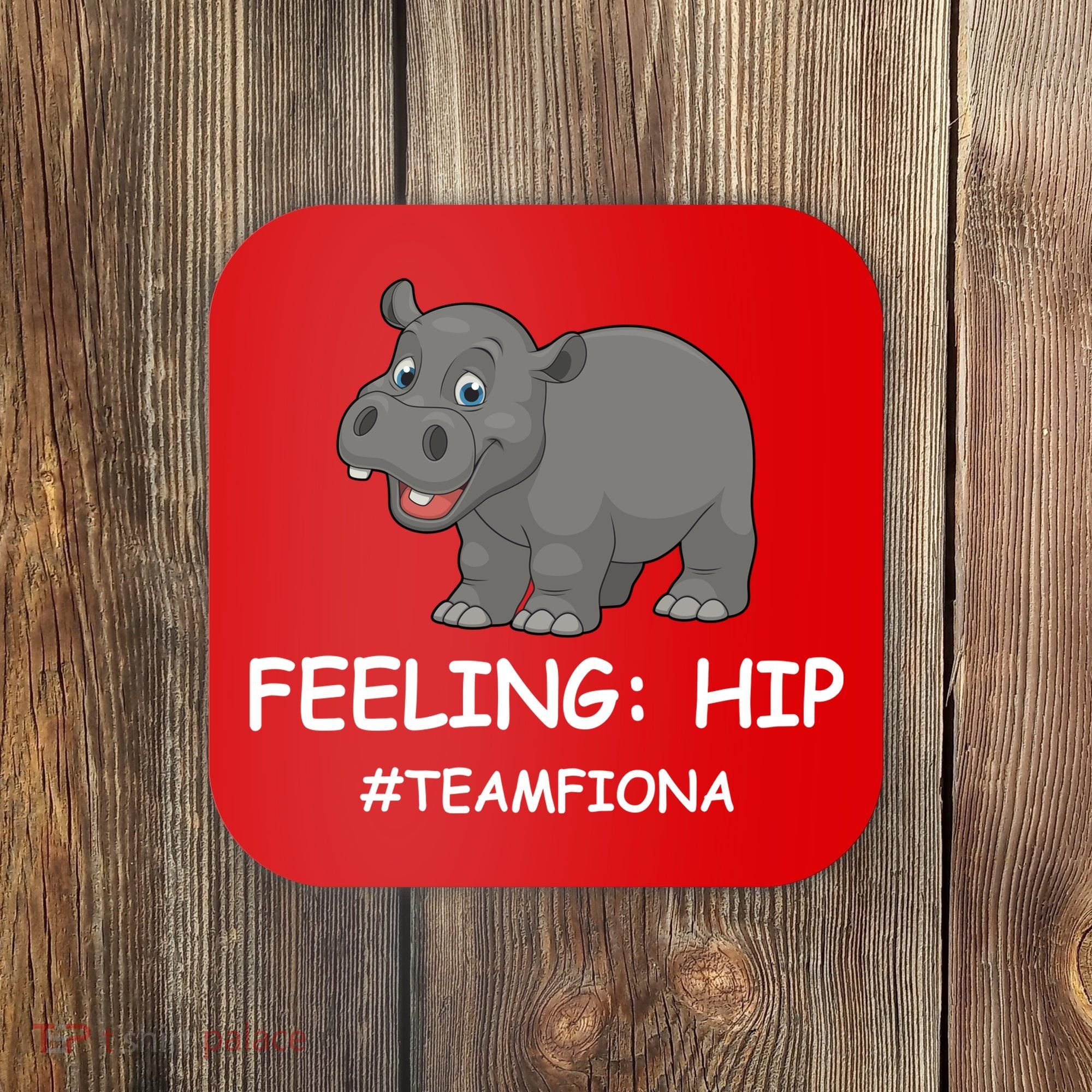 Fiona The Baby Hippo Feeling Hip Preemie Coaster