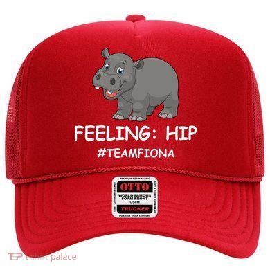 Fiona The Baby Hippo Feeling Hip Preemie Hat