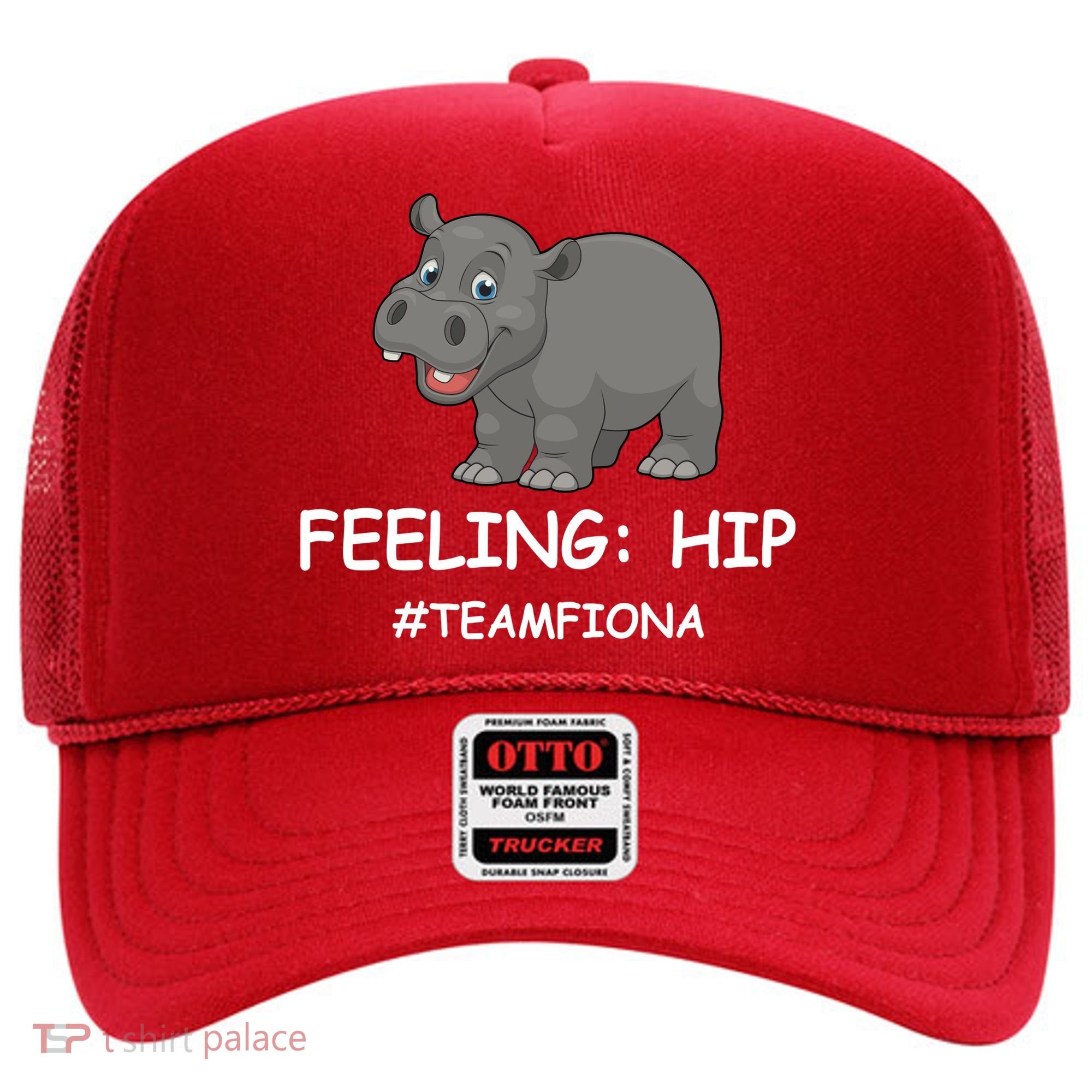Fiona The Baby Hippo Feeling Hip Preemie Hat
