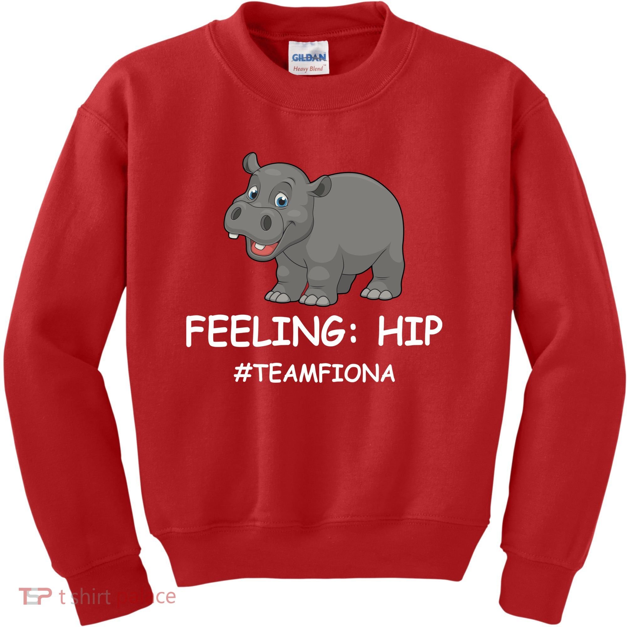 Fiona The Baby Hippo Feeling Hip Preemie Kids Sweatshirt