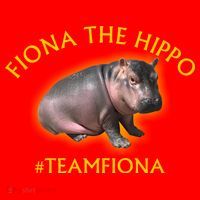 Fiona The Hippo #TeamFiona Photo Santa Hat thumb 1
