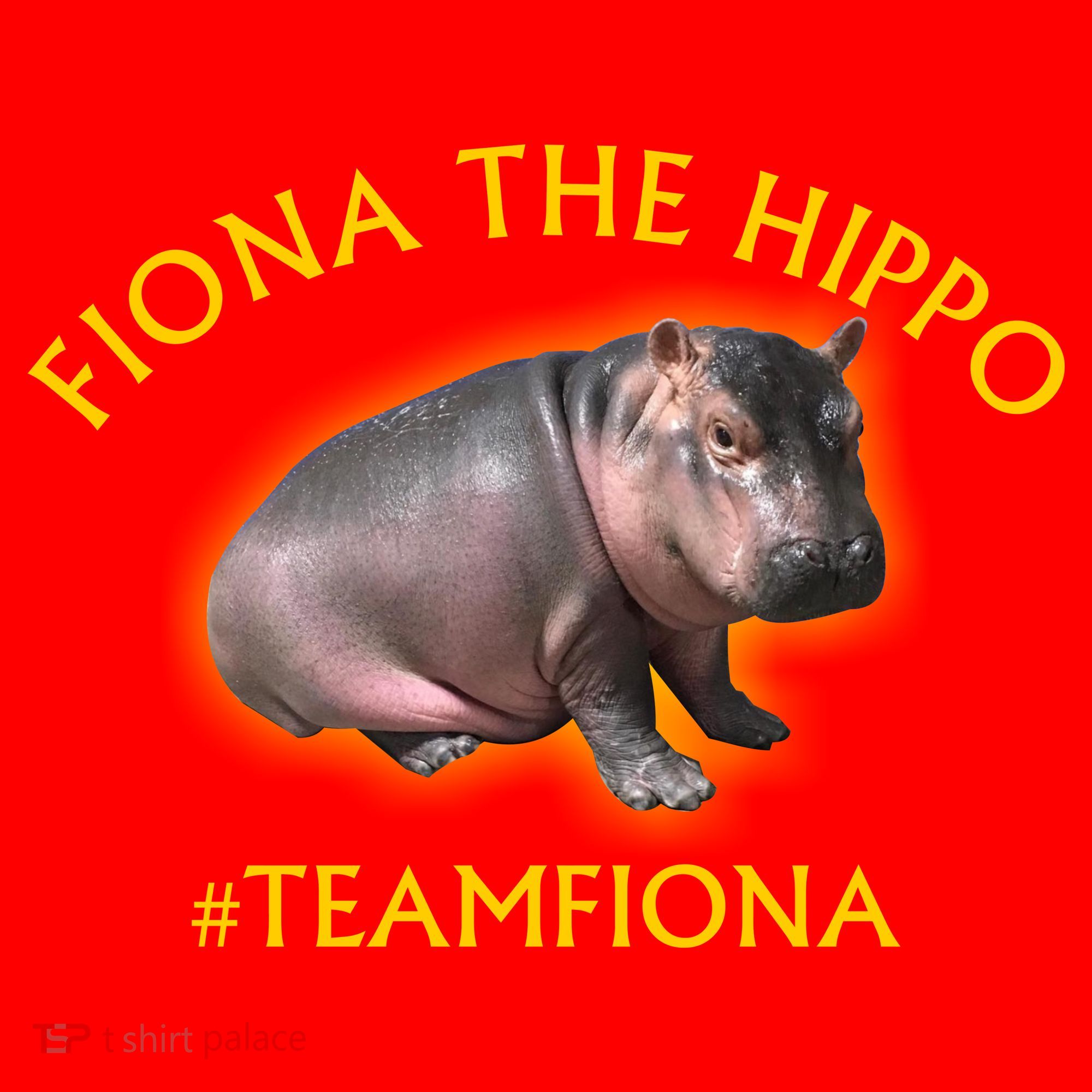 Fiona The Hippo #TeamFiona Photo Santa Hat