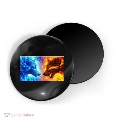 Magnet