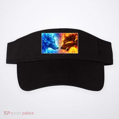 Visor