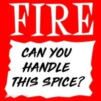Fire Can You Handle This Spice Doggie Tank thumb 4