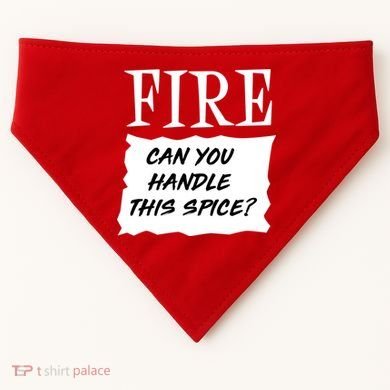 Fire Can you Handle This Spice? USA-Made Doggie Bandana