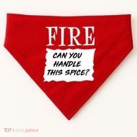 Fire Can You Handle This Spice USA-Made Doggie Bandana thumb 0