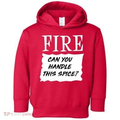 Fire Can You Handle This Spice Toddler Hoodie